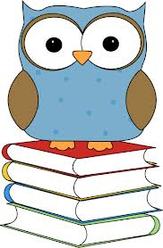 owl, books